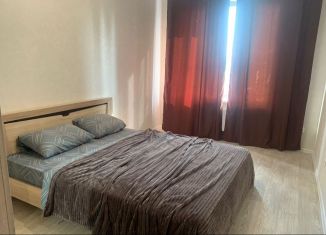 Сдается 1-комнатная квартира, 57 м2, Республика Башкортостан, улица Кирова, 130