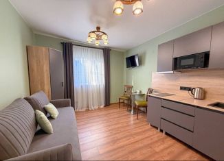 Квартира в аренду студия, 19 м2, Сочи, Демократический переулок, 8А