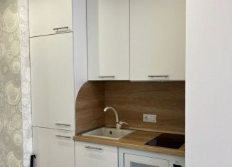 Квартира в аренду студия, 30 м2, Новосибирск, улица Владимира Заровного, 22, Октябрьский район