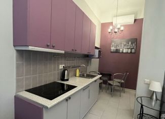 Сдается в аренду квартира студия, 50 м2, Санкт-Петербург, Гончарная улица, 16