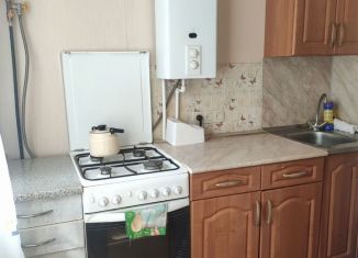 Продажа 1-комнатной квартиры, 30.3 м2, Нижний Новгород, Заводская улица, 17к1