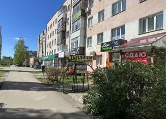 Аренда помещения свободного назначения, 46.8 м2, Республика Башкортостан, улица Победы, 3