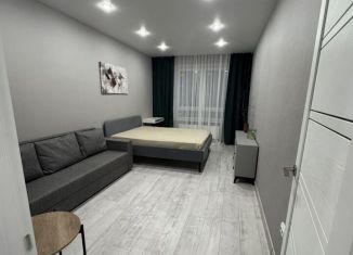 Сдается однокомнатная квартира, 41.7 м2, Новосибирск, Ипподромская улица, 12, Октябрьский район