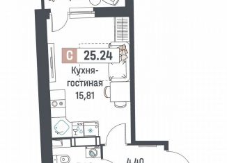 Продается квартира студия, 25.2 м2, Мурино, ЖК Авиатор