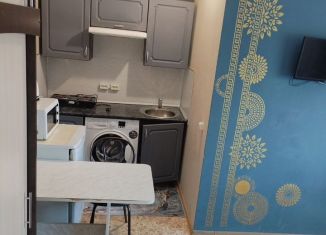 Сдается в аренду квартира студия, 25 м2, село Орёл-Изумруд, Дачная улица, 17/5