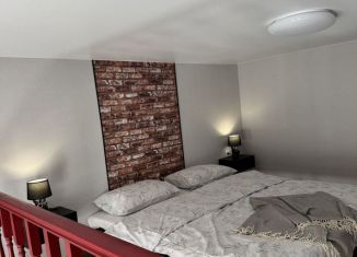 Квартира в аренду студия, 20 м2, Ростов-на-Дону, Ворошиловский проспект, 18/18