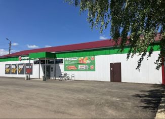 Сдам помещение свободного назначения, 70 м2, Марий Эл, улица Мосолова, 62