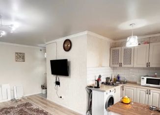 Сдается в аренду однокомнатная квартира, 43.8 м2, Краснодар, улица Александра Покрышкина, 22, микрорайон Энка (имени Маршала Жукова)