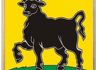 Продается гараж, Сызрань