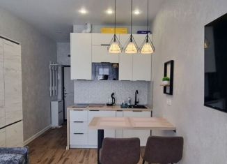 Аренда квартиры студии, 22 м2, Сочи, улица Ленина, 290/7