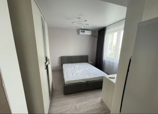 Сдам в аренду квартиру студию, 30 м2, Ростов-на-Дону, улица Юрия Дубинина, 9