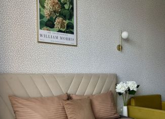 Сдача в аренду квартиры студии, 20 м2, Люберцы, Шоссейная улица, 42