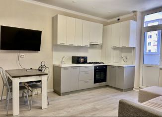 Продажа 1-ком. квартиры, 42 м2, Ростов-на-Дону, Берберовская улица, 2/101с1