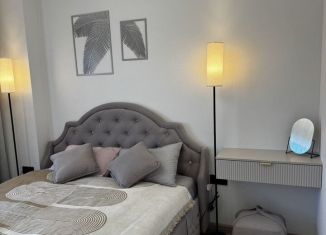 Сдам в аренду дом, 105 м2, деревня Ключи, Малиновая улица, 23