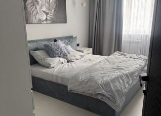 Сдается в аренду двухкомнатная квартира, 67 м2, Татарстан, 65-й комплекс, 3