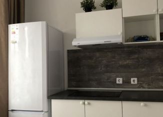 Сдается в аренду 1-ком. квартира, 32 м2, Мурино, Воронцовский бульвар, 12