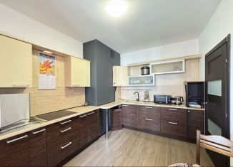 1-комнатная квартира в аренду, 33 м2, Санкт-Петербург, Советский проспект, 36к1, ЖК Невские Паруса