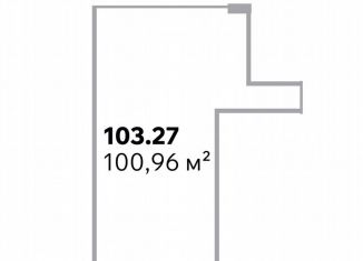 Продаю помещение свободного назначения, 100.96 м2, Санкт-Петербург, Ириновский проспект, 34, муниципальный округ Ржевка