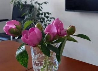 Сдаю 2-ком. квартиру, 60 м2, Ростов-на-Дону, Орбитальная улица, 17