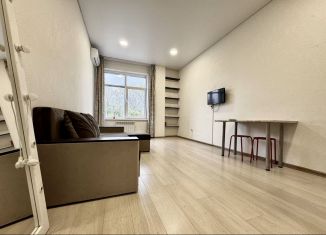 Сдаю квартиру студию, 25 м2, Уфа, улица Набережная реки Уфы, 21