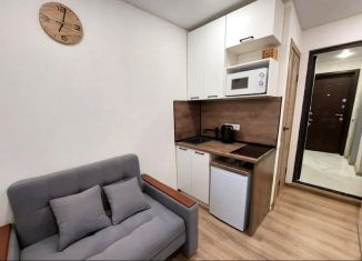 Продается квартира студия, 11 м2, Котельники, 3-й Покровский проезд, 1