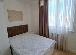 Сдача в аренду однокомнатной квартиры, 30 м2, Краснодар, Свободная улица, 67, микрорайон Черемушки