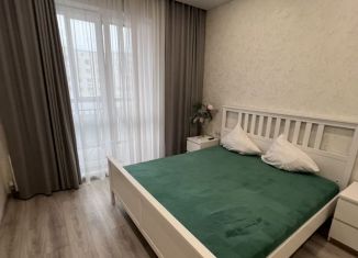 1-ком. квартира в аренду, 65 м2, Казань, улица Достоевского, 57