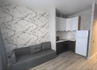 Сдаю квартиру студию, 20 м2, Ростов-на-Дону, улица Нансена, 83с3