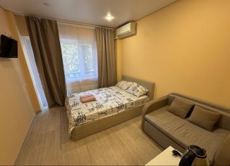 Продаю квартиру студию, 19 м2, Сочи, улица Победы, 153