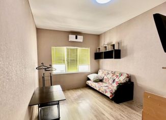 Сдается квартира студия, 24 м2, Сочи, улица Ручей Видный, 66