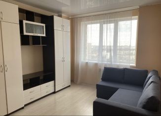 Сдача в аренду 1-комнатной квартиры, 65 м2, Ростов-на-Дону, Магнитогорская улица, 1Г