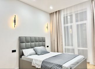 Сдам в аренду 1-ком. квартиру, 50 м2, Татарстан, улица Алексея Козина, 9