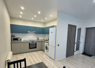 Аренда 1-комнатной квартиры, 35 м2, Уфа, улица Чернышевского, 71/1