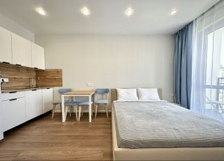 Сдаю в аренду квартиру студию, 25 м2, Сочи, улица Искры, 88к10