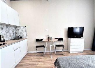 Продается квартира студия, 26 м2, Ростов-на-Дону, 2-й Атмосферный переулок, 4