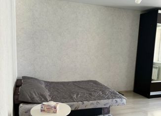 1-комнатная квартира в аренду, 33 м2, Республика Башкортостан, улица Шмидта, 162