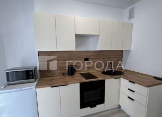 Квартира в аренду студия, 35 м2, Новосибирск, Дачная улица, 42, метро Заельцовская