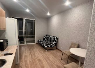 Квартира на продажу студия, 25 м2, Екатеринбург, Ленинский район, улица Чкалова, 18