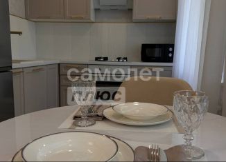 Сдается в аренду 2-ком. квартира, 42 м2, Ижевск, Удмуртская улица, 214