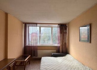 Продаю квартиру студию, 22.2 м2, деревня Хохряки, Тепличная улица, 30