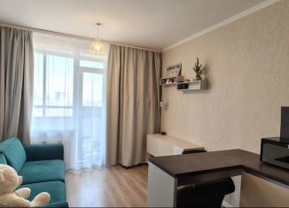 Продажа квартиры студии, 24.5 м2, Санкт-Петербург, Кушелевская дорога, 1к2, муниципальный округ Пискарёвка