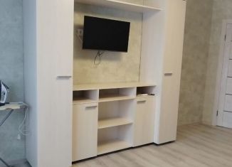 Сдается в аренду 1-ком. квартира, 44 м2, Брянск, Московский проспект, 170