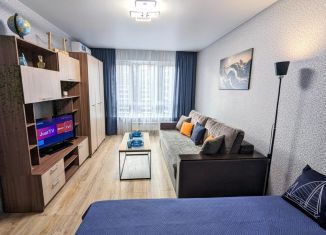 Сдается 1-ком. квартира, 43 м2, Екатеринбург, Посадская улица, 55