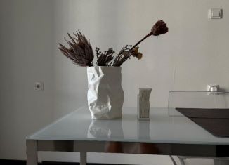 Сдам в аренду однокомнатную квартиру, 38 м2, Новосибирск, улица Кирова, 32, Октябрьский район