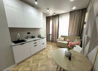 Продам квартиру студию, 28 м2, Краснодар, Прикубанский округ, улица имени Героя Николая Шевелёва, 5