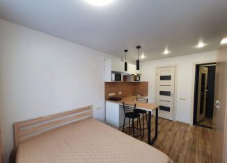 Сдается квартира студия, 18 м2, Татарстан, Волгоградская улица, 28