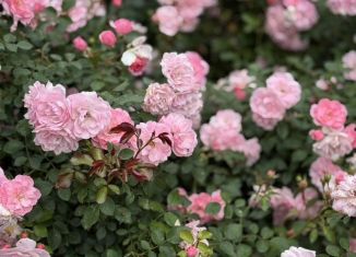 Продам земельный участок, 11 сот., Тула, улица Кабакова