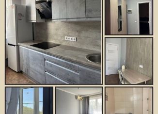 Аренда однокомнатной квартиры, 38 м2, Краснодар, улица имени 40-летия Победы, 133, ЖК Возрождение