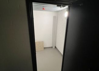 Гараж на продажу, 10 м2, Санкт-Петербург, Аптекарский проспект, 18