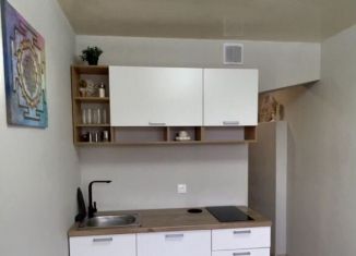 Продажа квартиры студии, 17 м2, Нижний Новгород, проспект Бусыгина, 56, Автозаводский район